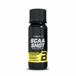 20 ampullen aminozuren Biotech USA bcaa shot - Lime