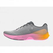 Schoenen Under Armour Charged Pulse